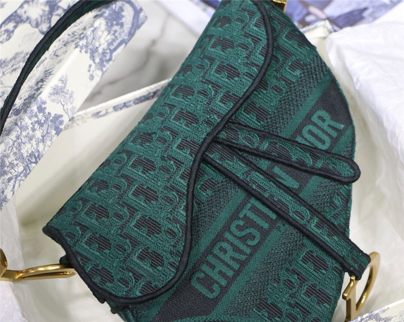 dior saddle bag - Image 3