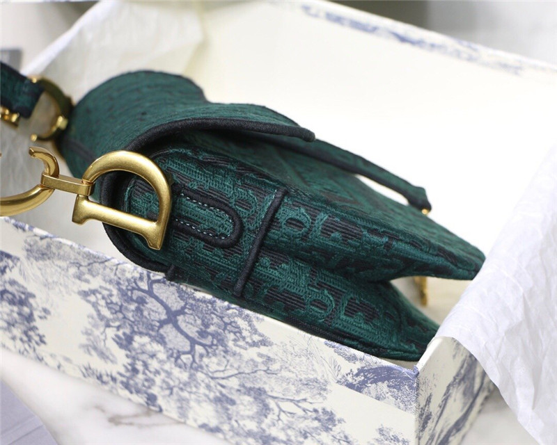 dior saddle bag - Image 8