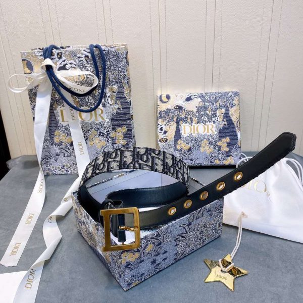 Dior Quake Belt