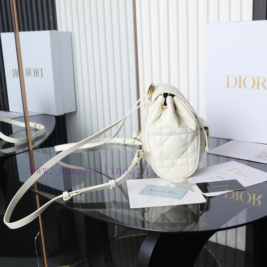 Original factory grade white spot goodsCaro Autumn/Winter Series Shoulder Bag Small, the hot ubdolqkr - Image 3