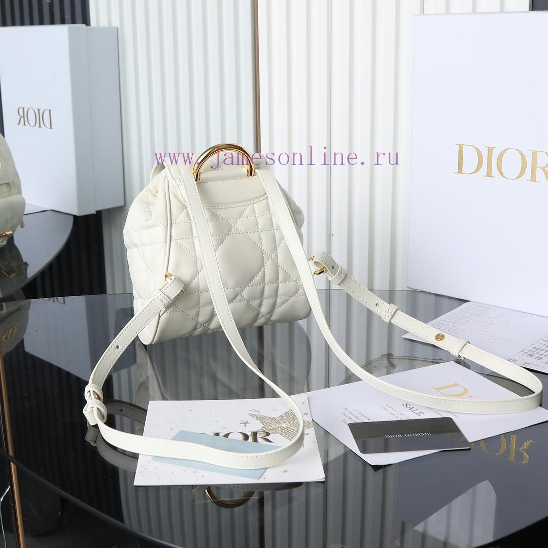 Original factory grade white spot goodsCaro Autumn/Winter Series Shoulder Bag Small, the hot ubdolqkr - Image 4