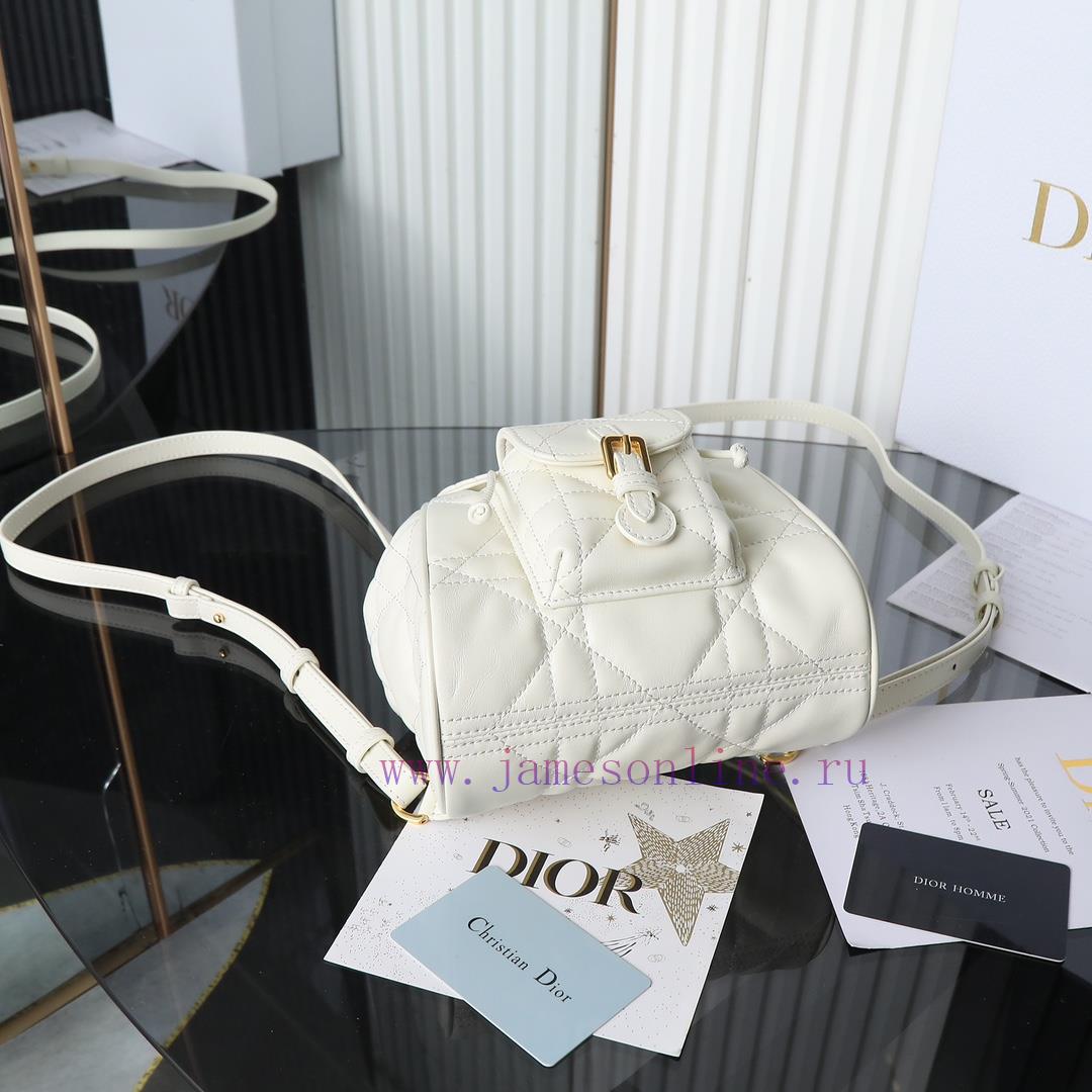 Original factory grade white spot goodsCaro Autumn/Winter Series Shoulder Bag Small, the hot ubdolqkr - Image 8