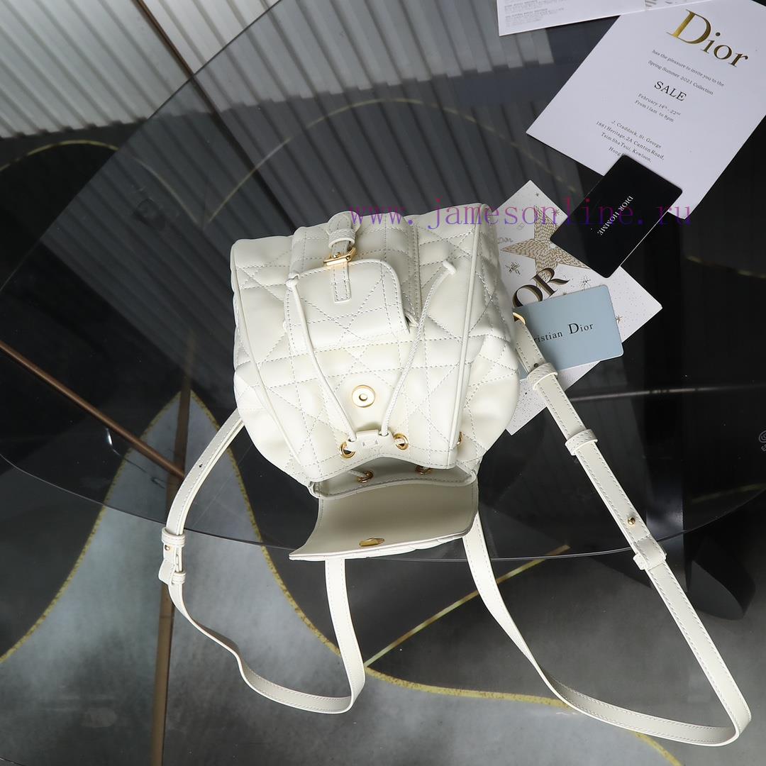 Original factory grade white spot goodsCaro Autumn/Winter Series Shoulder Bag Small, the hot ubdolqkr - Image 9