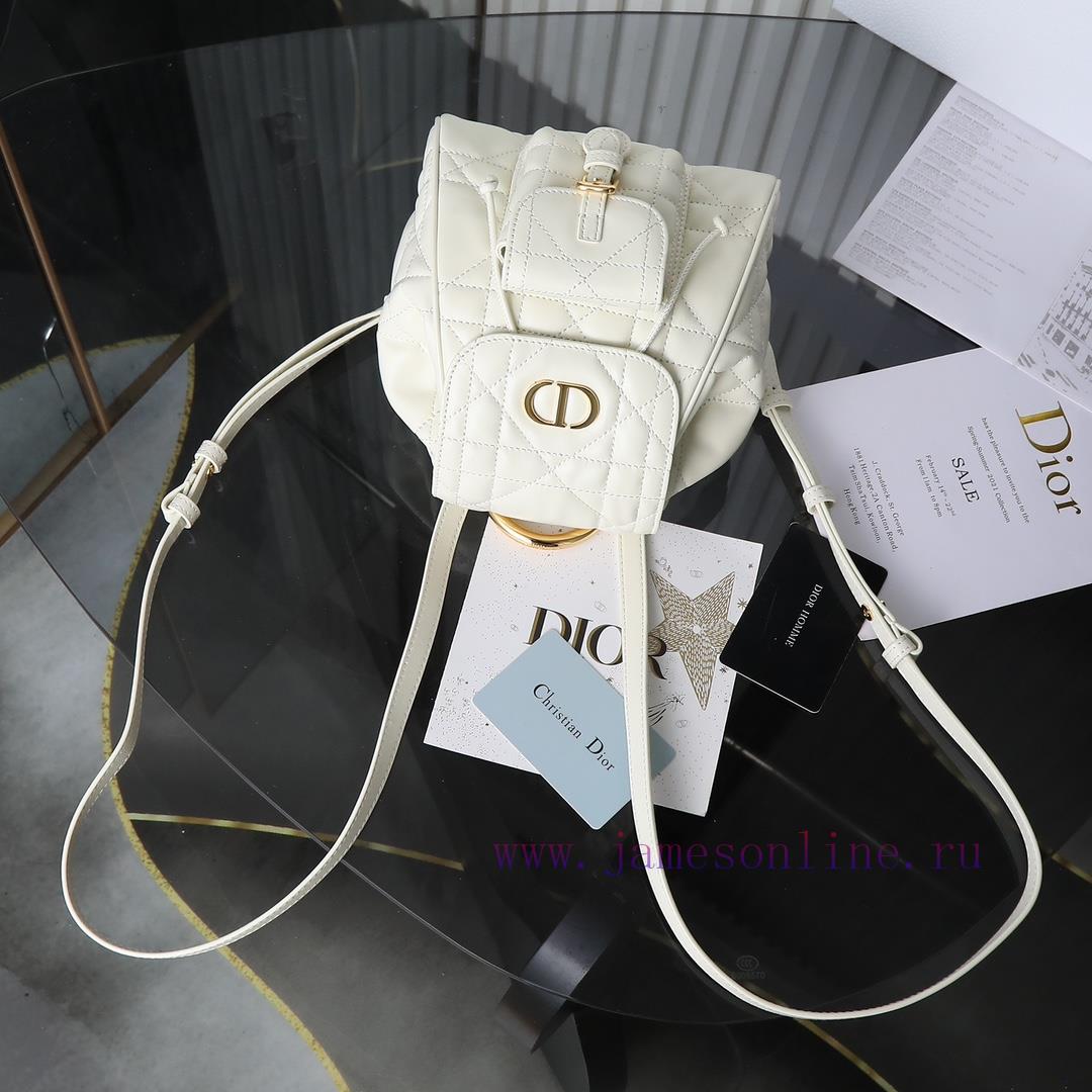 Original factory grade white spot goodsCaro Autumn/Winter Series Shoulder Bag Small, the hot ubdolqkr - Image 10